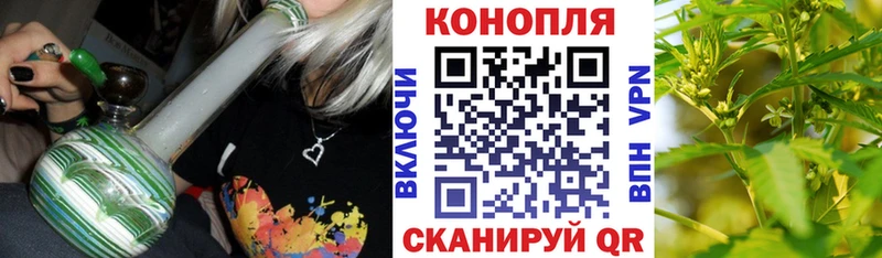 где продают   Стерлитамак  Бошки Шишки ГИДРОПОН 